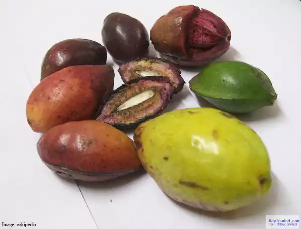Top 4 Popular Nigerian Fruits You Probably Don’t Know Their English Names